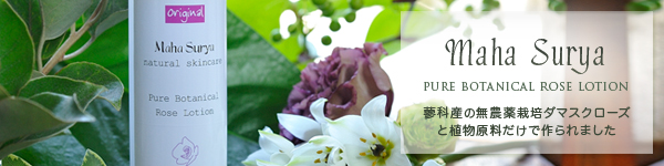 �ܥ��˥�����������������